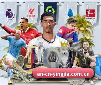 盈嘉体育 APP - yingjiasports